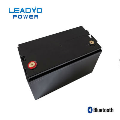 Πλαστική Screwable LEADYO BMS θαλάσσια Lifepo4 περίπτωση μπαταριών 12V 100amp