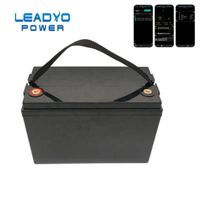 βαθιά μπαταρία κύκλων Lifepo4 μπαταριών rv 12V 100Ah Leadyo με το όργανο ελέγχου APP